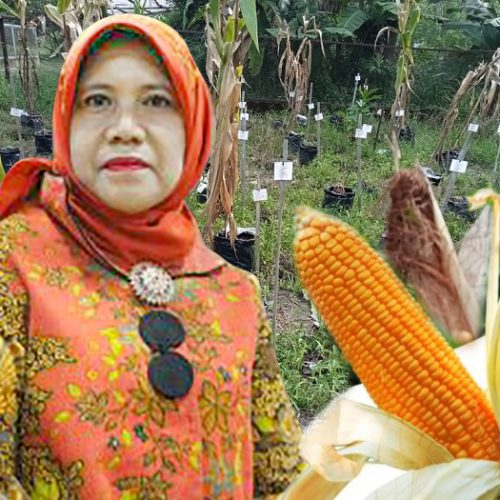 Faperta Untan Pontianak
