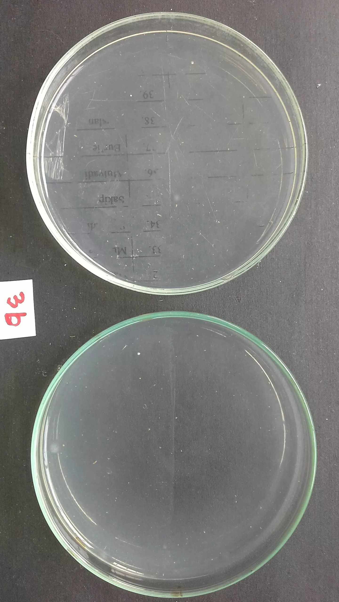 3b