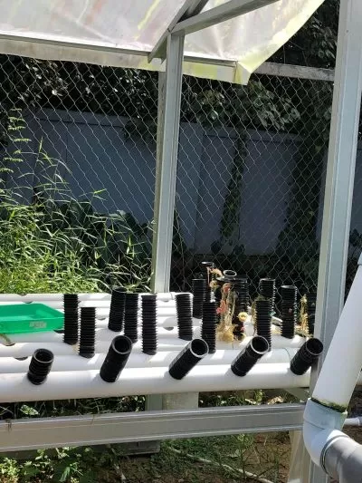Ttt
