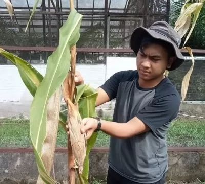 Faperta Untan Pontianak
