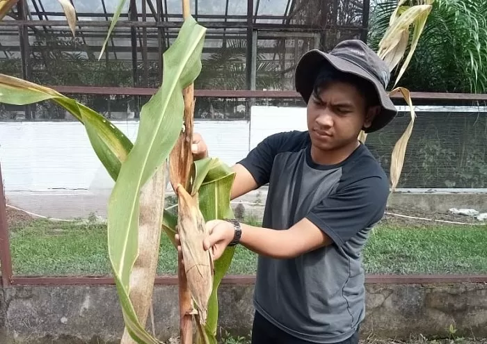 Faperta Untan Pontianak