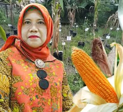 Faperta Untan Pontianak