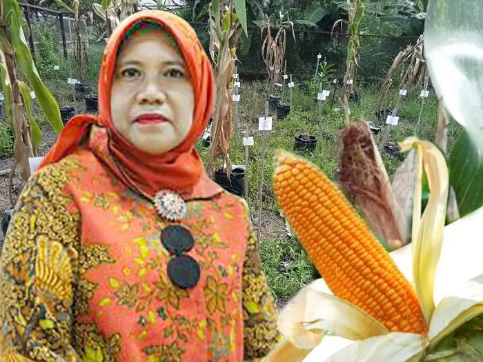Faperta Untan Pontianak
