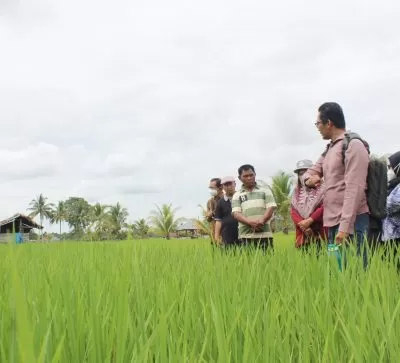 Faperta Untan Pontianak