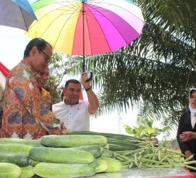 Faperta Untan Pontianak