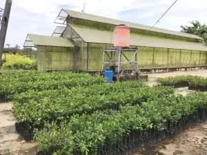 Faperta Untan Pontianak